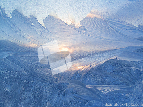 Image of Beautiful ice pattern and sunlight