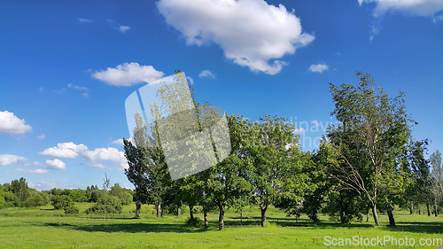 Image of Beautiful summer landscape 