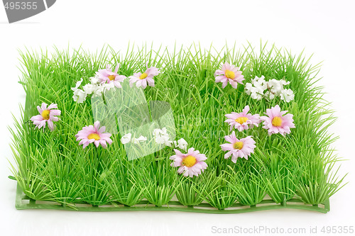 Image of Grass meadow