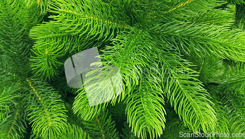 Image of Bright green branches of an artificial Christmas tree