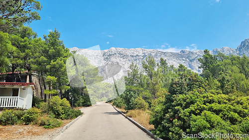 Image of Biokovo Mountain Nature park and trees from Makarska Riviera-Biokovo