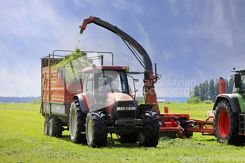 Image of Harvesting Grass With Forage Harvester for Cattle Feed