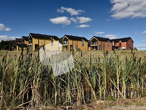 Image of residential area of typical houses in summer in Finland