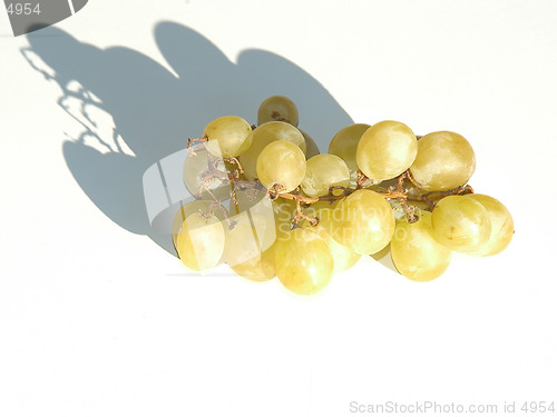 Image of Grapes