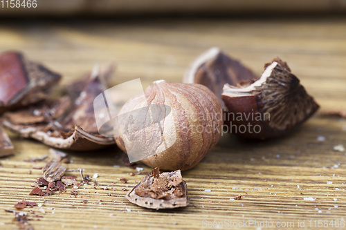 Image of broken hazelnut