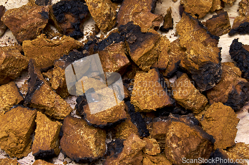 Image of closeup of dried and cut chaga mushroom on wood