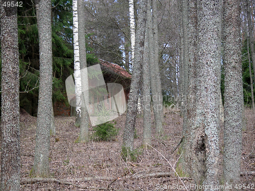 Image of barn and tree