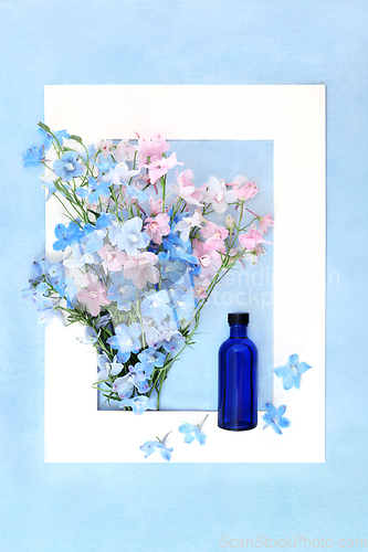 Image of Delphinium Wildflower Naturopathic Herbal Medicine Frame