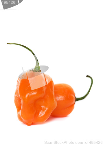 Image of Habaneros