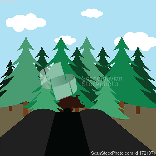 Image of Hunting in fir forest