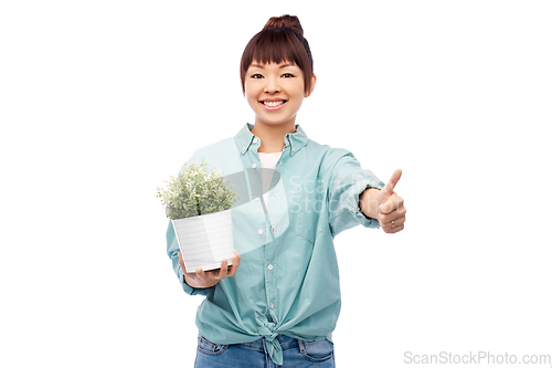 Image of happy smiling asian woman holding flower in pot