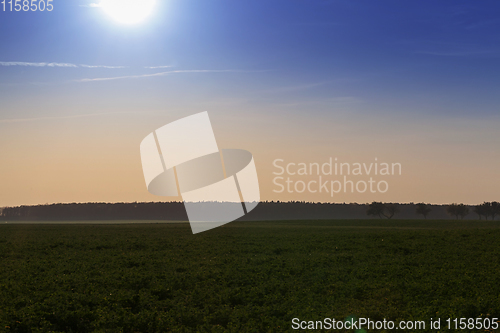 Image of twilight in nature