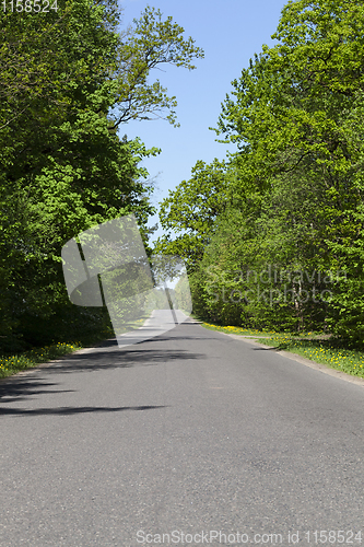 Image of forest asphalt road