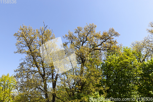 Image of spring landscape