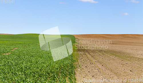Image of agricultural field