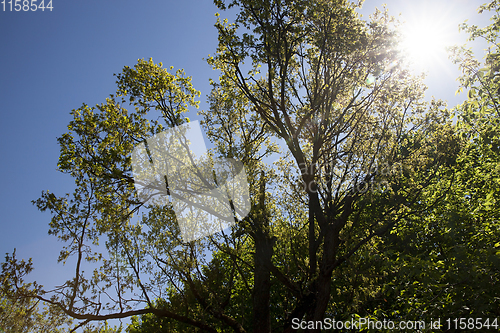 Image of spring landscape