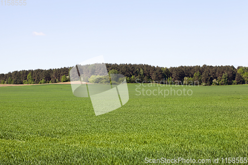 Image of agricultural field