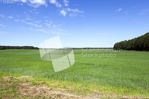 Image of spring or summer landscape