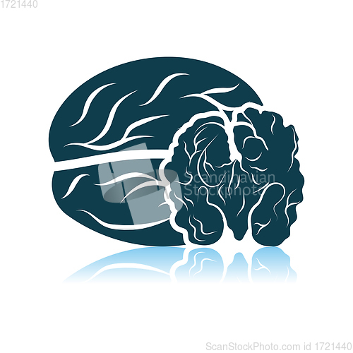 Image of Walnut Icon