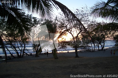 Image of Beach life