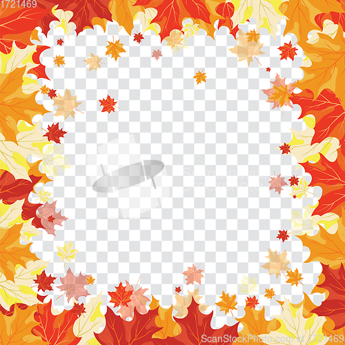 Image of Maple leaves on transparency grid