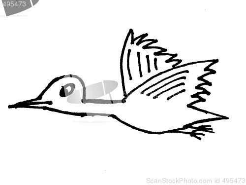 Image of bird