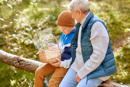 Image of grandmother and grandson with mushrooms in forest