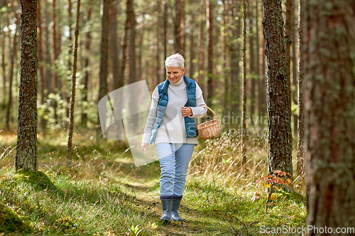 Image of senior woman picking mushrooms in autumn forest