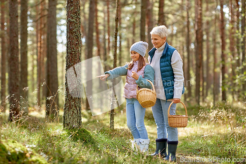 Image of grandmother and granddaughter picking mushrooms