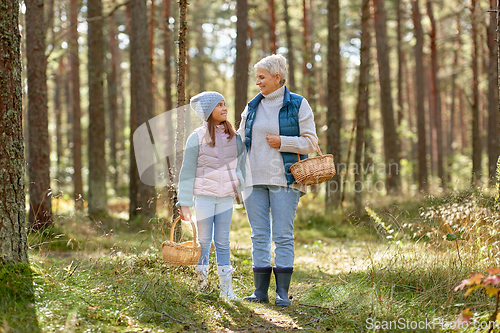 Image of grandmother and granddaughter picking mushrooms