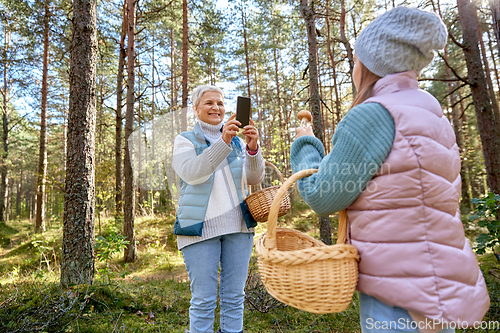 Image of grandma photographing granddaughter with mushrooms