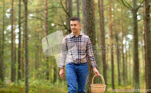 Image of happy man with basket picking mushrooms in forest