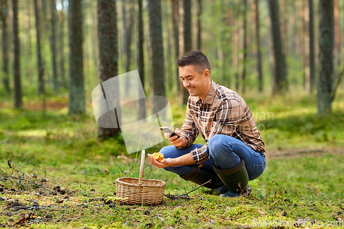 Image of man using smartphone to identify mushroom