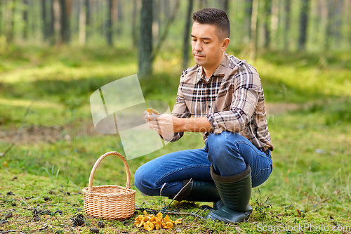 Image of man with basket picking mushrooms in forest