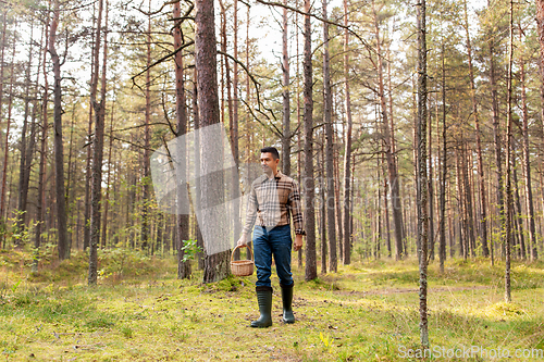 Image of happy man with basket picking mushrooms in forest