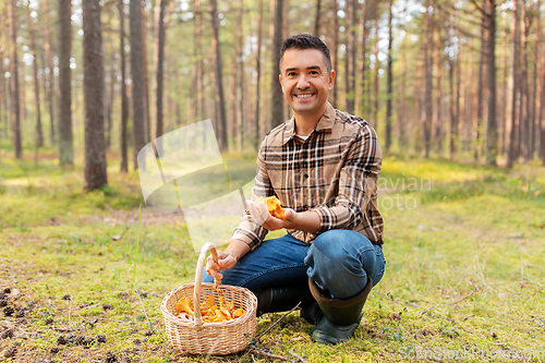 Image of happy man with basket picking mushrooms in forest