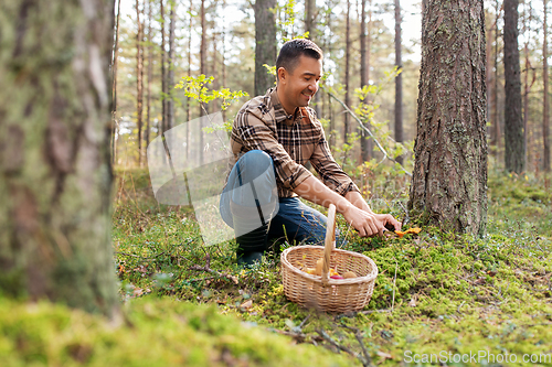 Image of happy man with basket picking mushrooms in forest