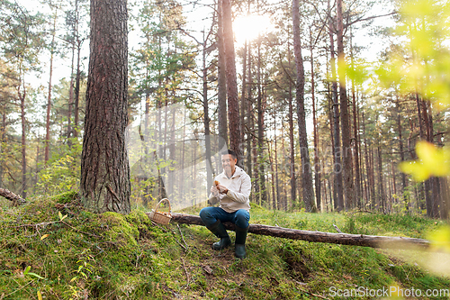 Image of man with basket picking mushrooms in forest