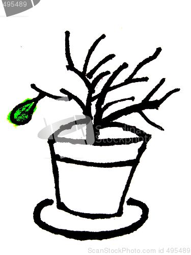 Image of flower pot