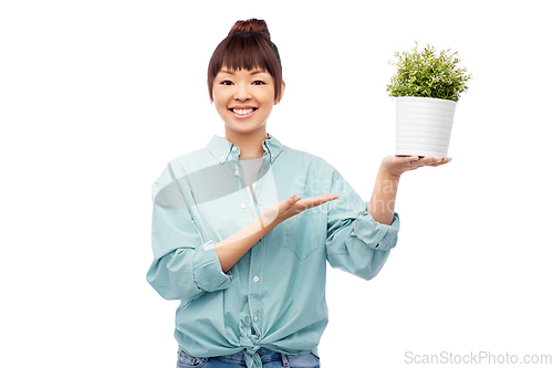 Image of happy smiling asian woman holding flower in pot