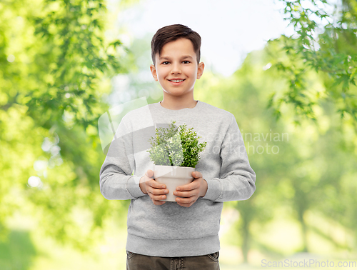 Image of happy smiling boy holding flower in pot