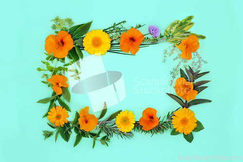 Image of Natural Alternative Medicine of Herbs and Edible Flowers 