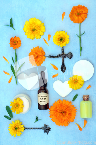 Image of Calendula Flower Remedy for Alternative Skincare Healing