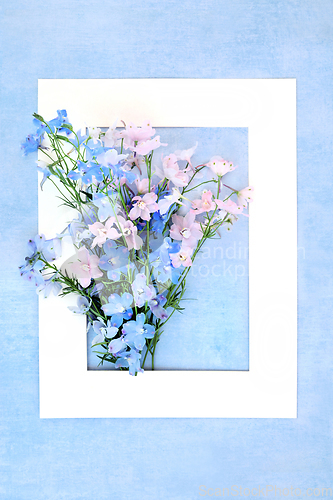 Image of Delphinium Flower Arrangement Summer Background Border