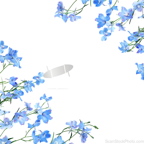 Image of Blue Delphinium Flower Background Border
