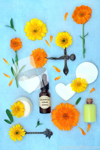 Image of Calendula Flower Remedy for Alternative Skincare Healing