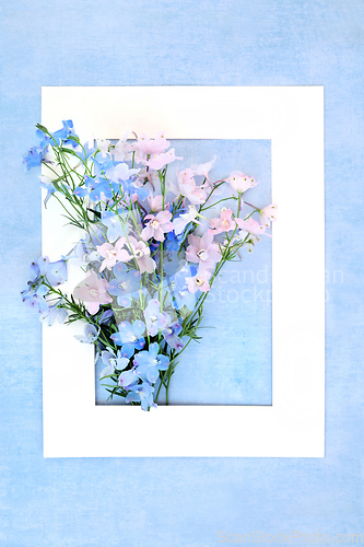 Image of Delphinium Flower Arrangement Summer Background Border