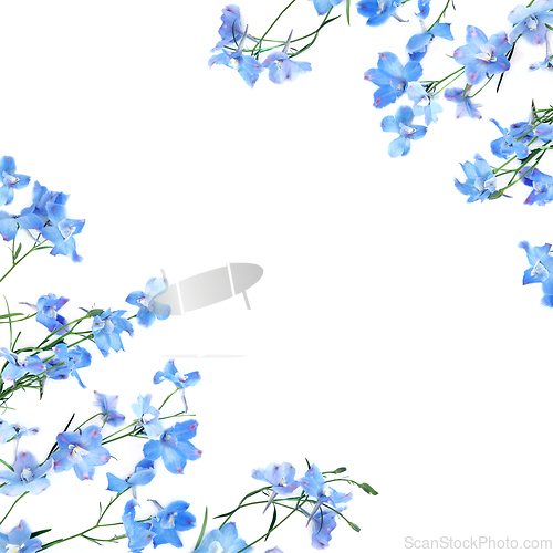 Image of Blue Delphinium Flower Background Border