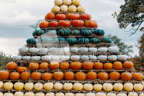 Image of pyramid from Autumn harvested pumpkins