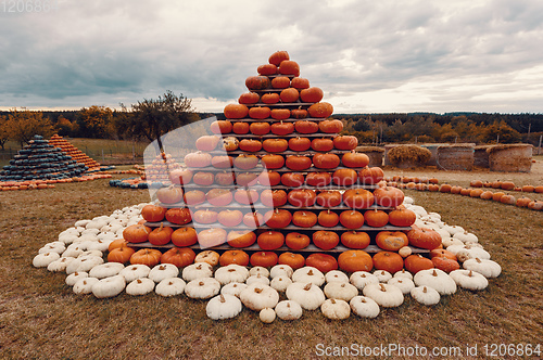 Image of pyramid from Autumn harvested pumpkins